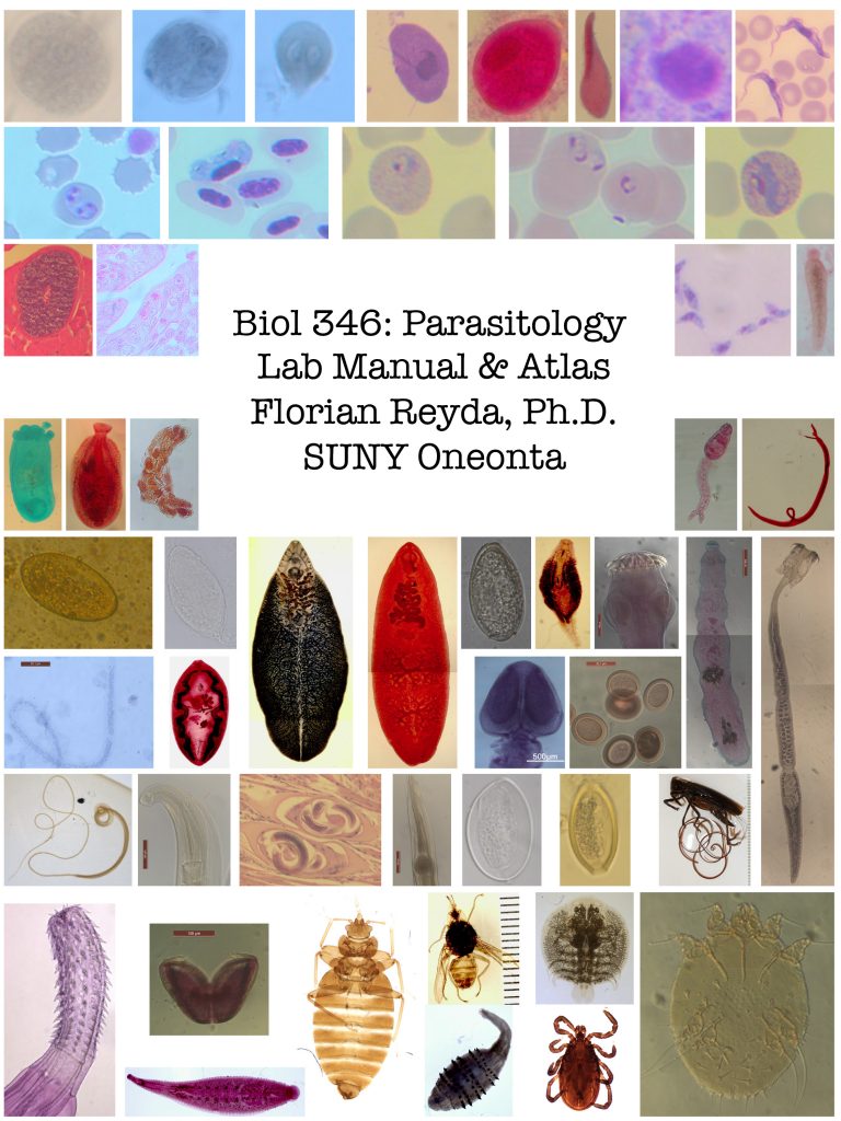 cover page – Parasitology Lab Manual